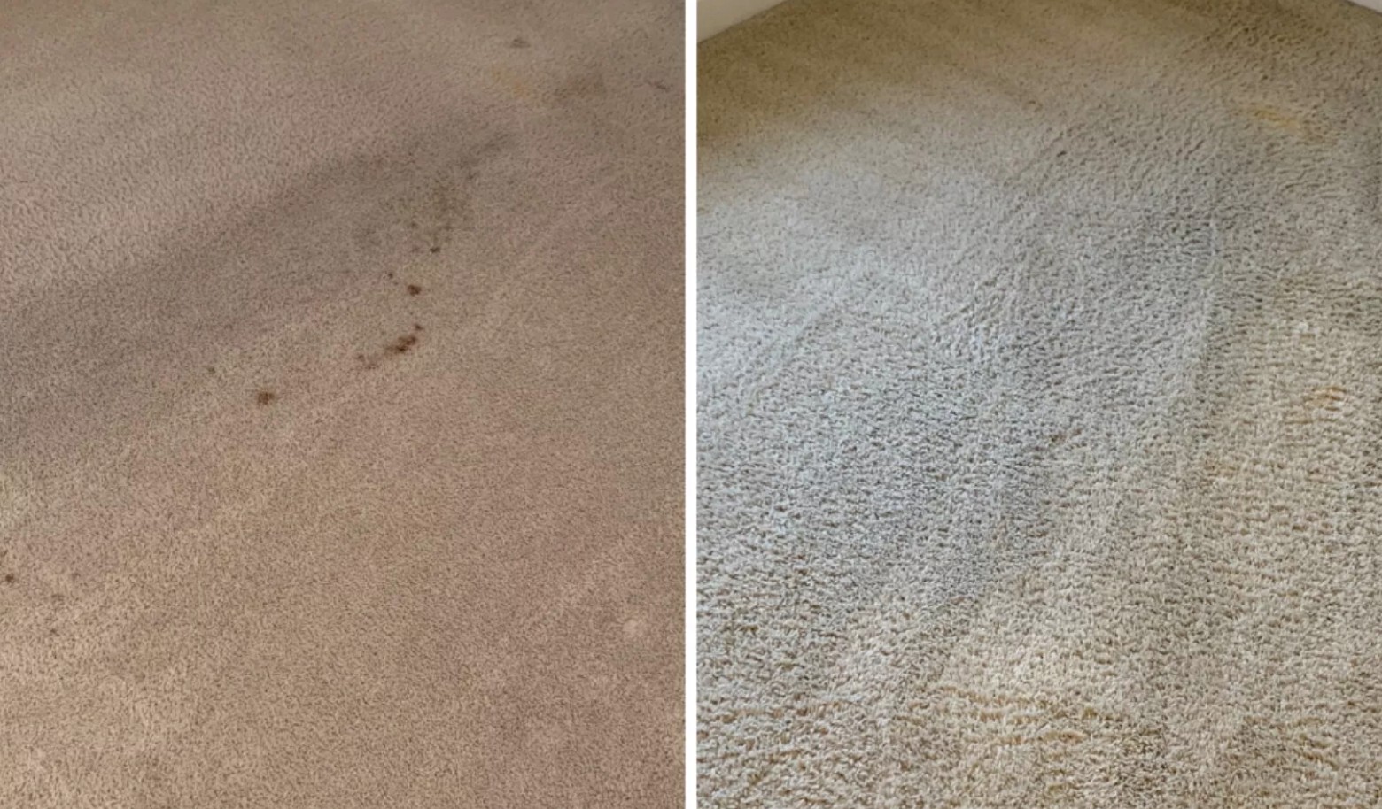 Professional carpet cleaning before & after from testimonial
