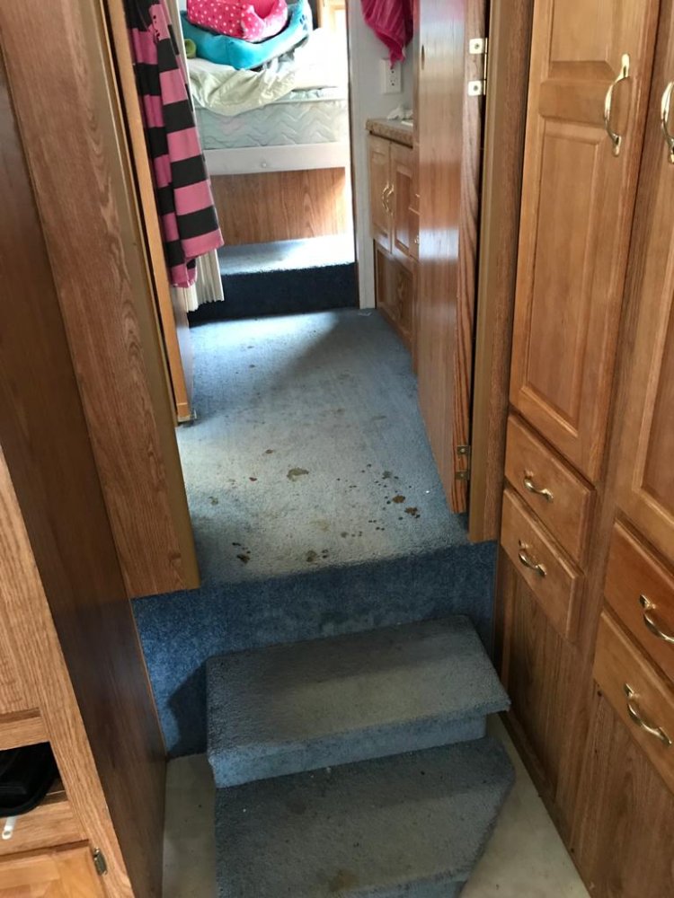 Stains on carpet stairs before carpet cleaning services