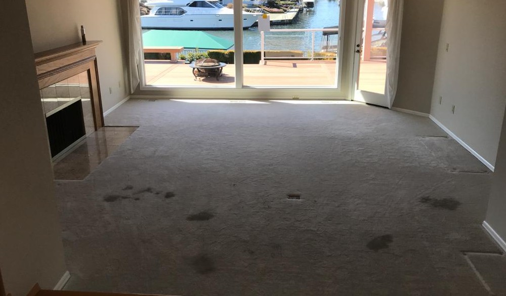 Stained carpet in fancy lakeside house before carpet cleaning
